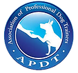 APDT logo.png