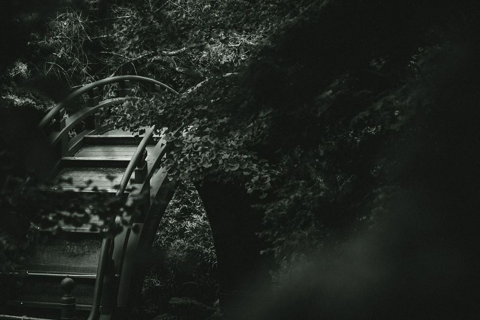 Dark Japanese garden bridge