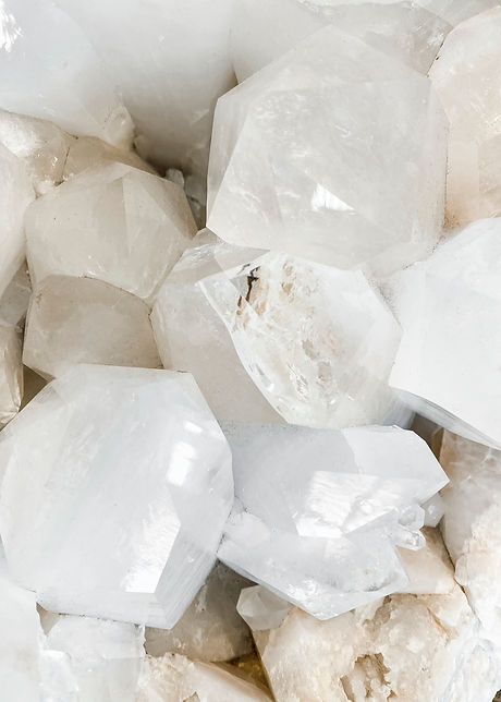 Elevae_20_Images_NEUTRAL005.jpg