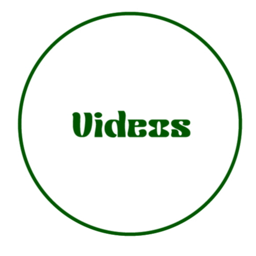 videosfinal_AdobeExpress.gif