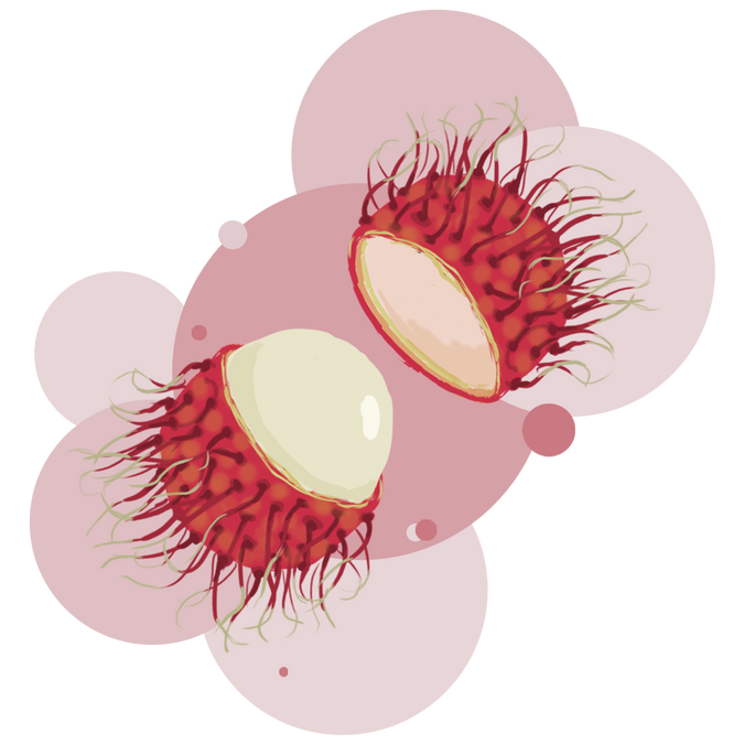 rambutan.png