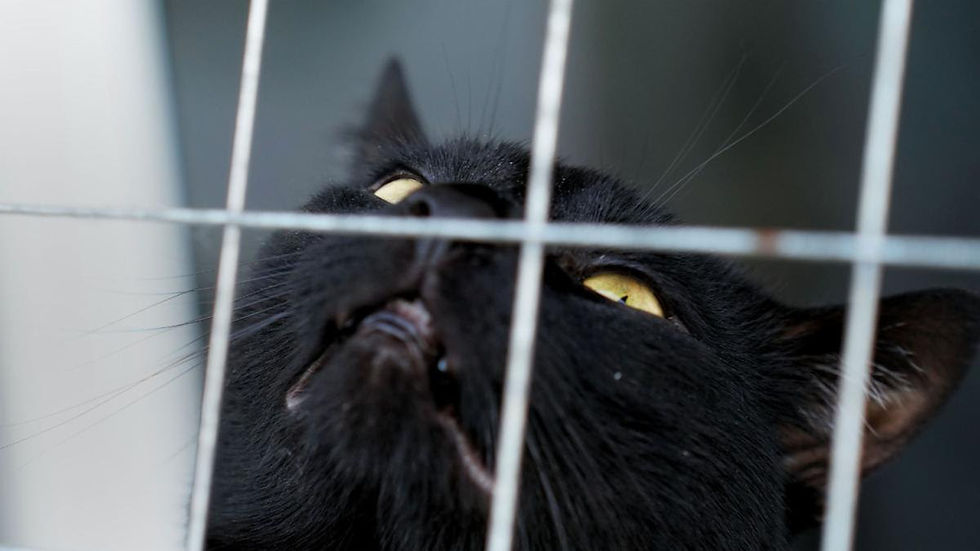 Long journeys turn fear into suffering.