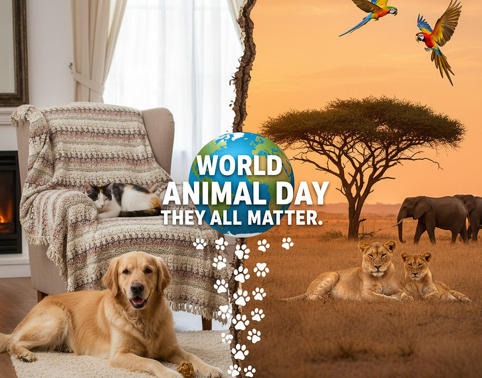 World Animal Day reminds us that all animals matter.