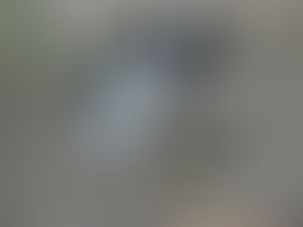 Why are dogs like Star suffering on Earth Day?