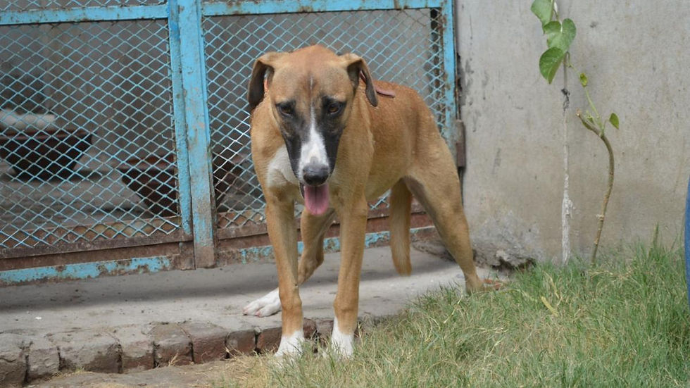 Nia’s body told her story before anything else could.