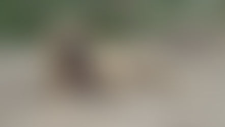 I am Darlene, and this is how I was saved…