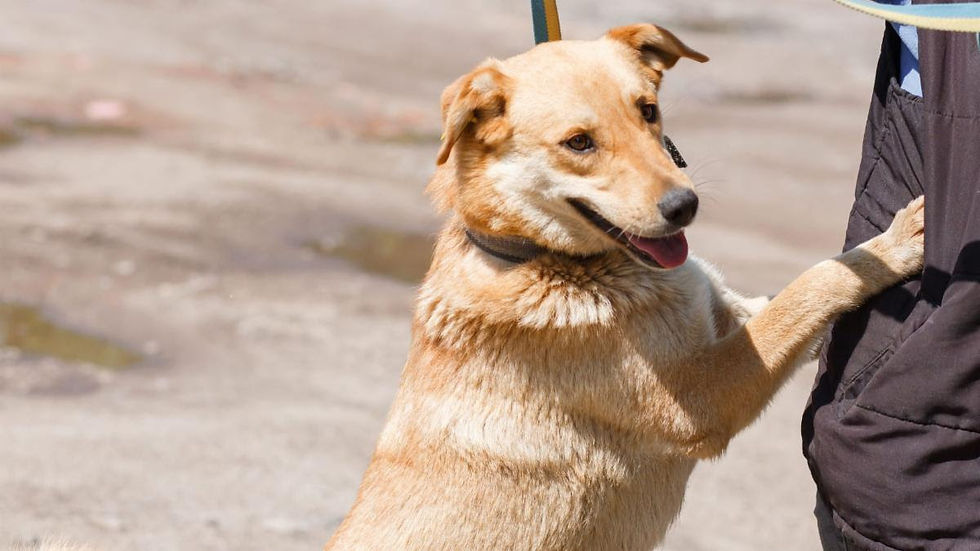 Protected. Safe. Because one case changed everything.