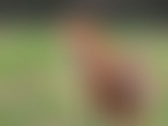 The World’s Top Fashion Magazine Says No to Fur