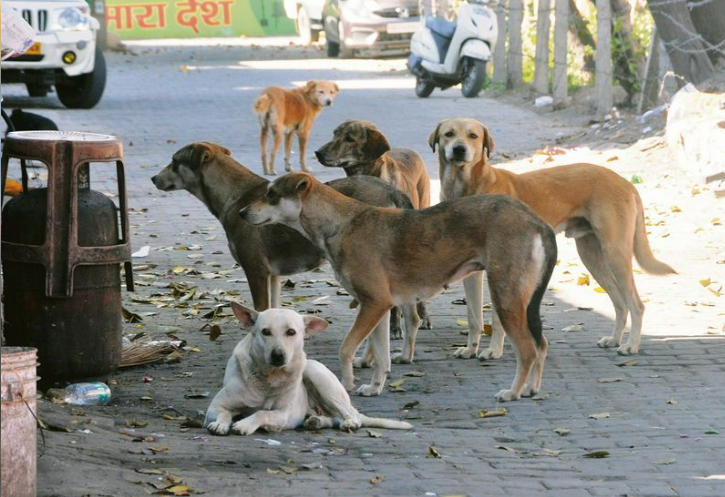 Some are still waiting for compassion to reach them.