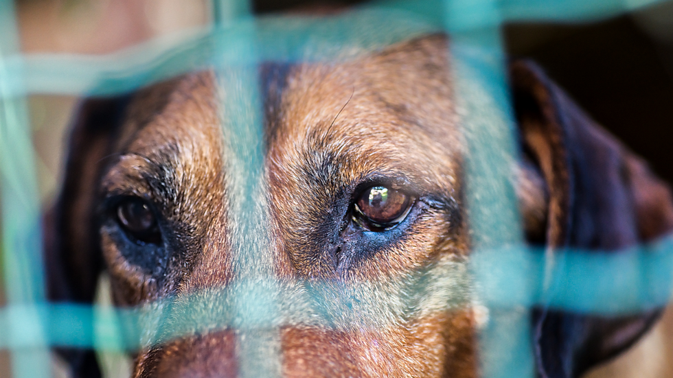 Too many live unseen behind bars.