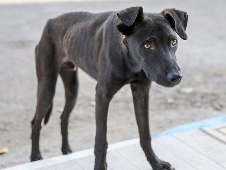 What better way to close 2025 than with a tax benefit?