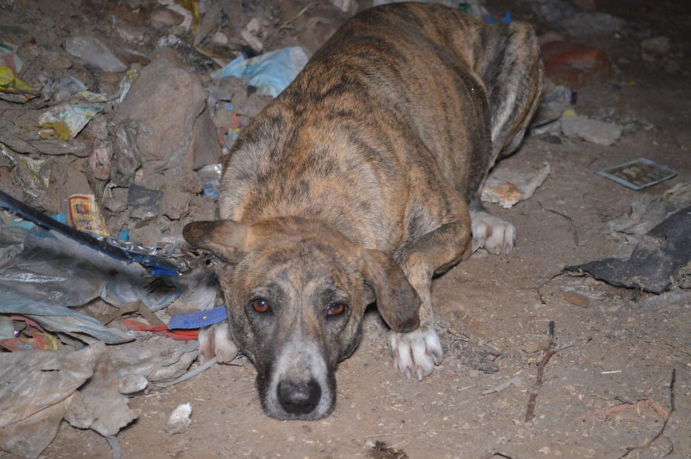 Jane's eyes told us everything we needed to know.