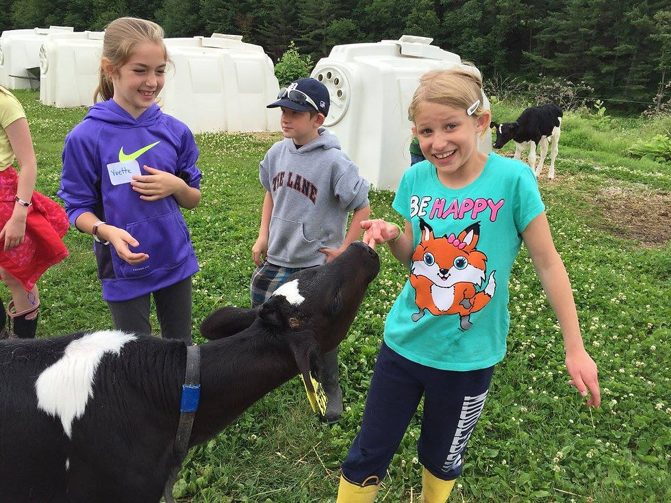 Calf Love