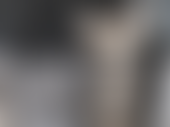 From Fear to Comfort: A Cat Behaviorist's Guide to Carrier Training