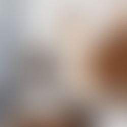 Two fluffy cats on their vertical tower.