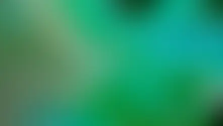 La percezione globale instantanea