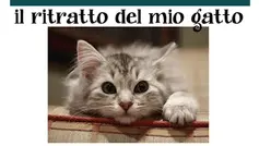 A Natale, regala belle esperienze!