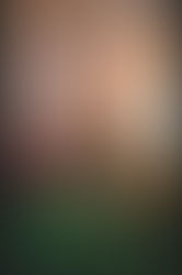 Vivere il bosco, vivere l'albero che abbiamo dentro