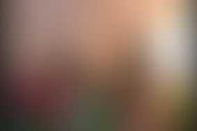 Vivere il bosco, vivere l'albero che abbiamo dentro