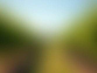 Group Winery Tours in Melbourne: What to Expect and Group Tour Perks