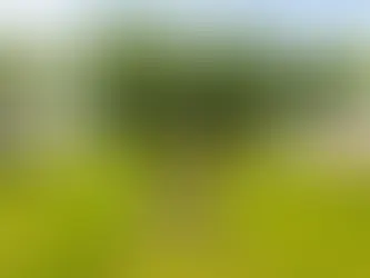 Excursie naar camping Zomerlicht (NL)