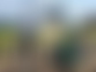 grootste kruidenspiraal van Nederland