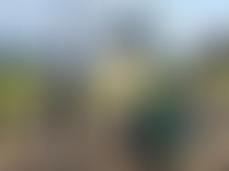 grootste kruidenspiraal van Nederland