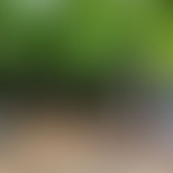 De Ecokathedraal: een les in tijd, natuur en regeneratief denken