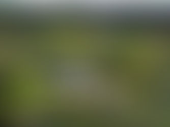 Excursie naar retreat center Yugen Forest (NL)