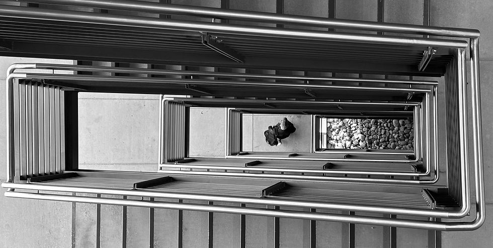 Crop, Contrast, B&W (Tight Shot Photo)