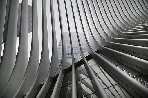 beautiful-black-white-upshot-new-york-city-subway-s-wtc-cortlandt-station-k-oculus.jpg