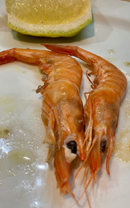 Sabor espectacular