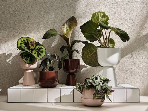 Nature concept, Iittala