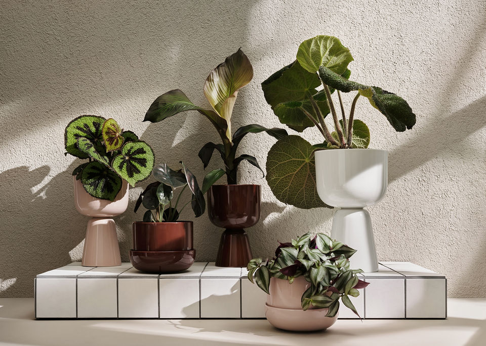 Nature concept, Iittala
