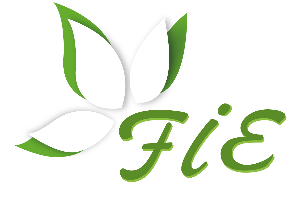 Formation Internationale d'Esthétique