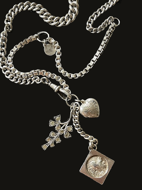 Silver Vintage Element Robin Fob, Bird, Heart Locket, Fern Charm Necklace