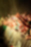 JCOCKERHAM_4-4_AOKI-71.jpeg