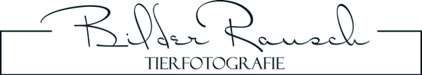 Bilderrausch_Logo_Schwarz (1).png
