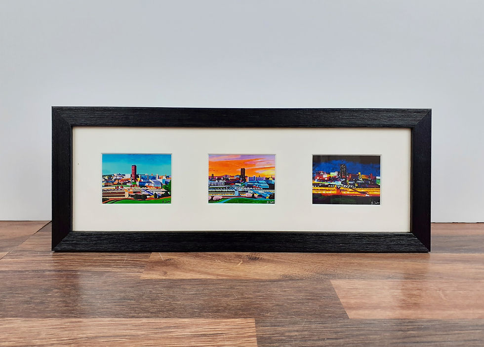 Thumbnail: 3 aperture 15x5" framed mini prints
