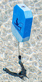 Thumbnail: LANDERS - TOOL FLOAT 