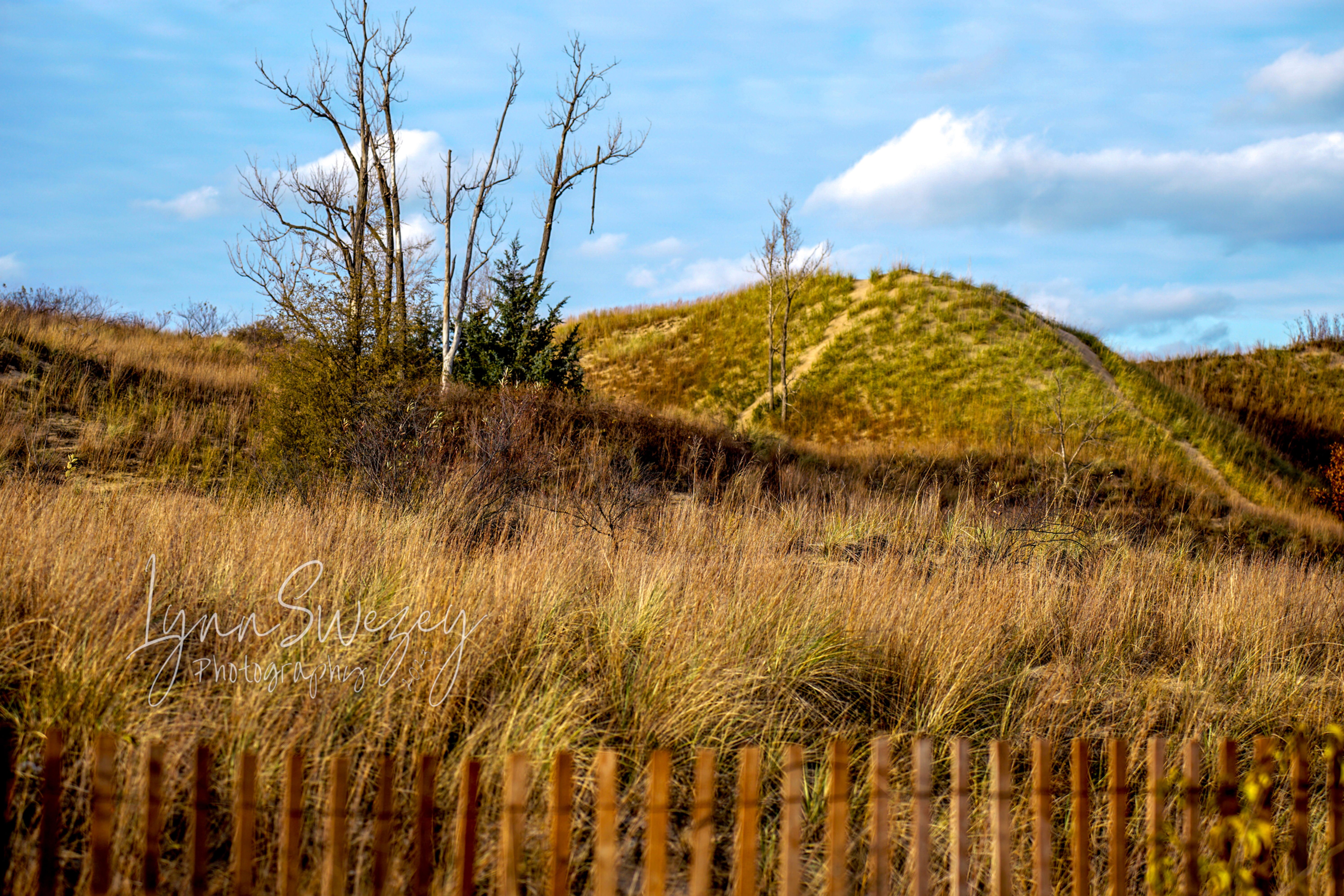 Indiana Dunes NP Rolling