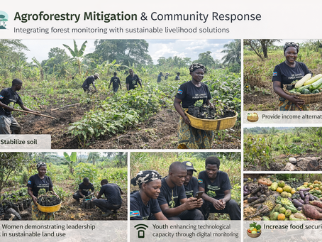 Empowering Communities: How Agroforestry Transforms Forest Protection and Rural Livelihoods in the Congo Basin