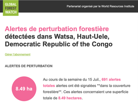 691 alertes de perturbation forestière détectées à Watsa, dans le Haut-Uele