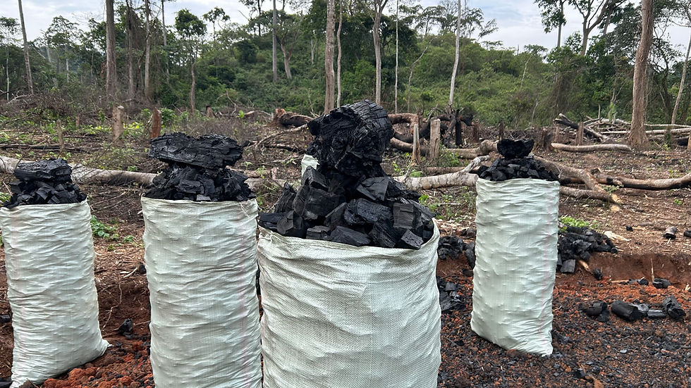 Breaking the Charcoal Cycle in Haut-Uele