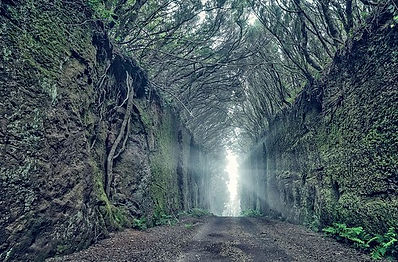 A1280F56-9CED-49E7-927B-1FEA8DE1FDDC.jpe