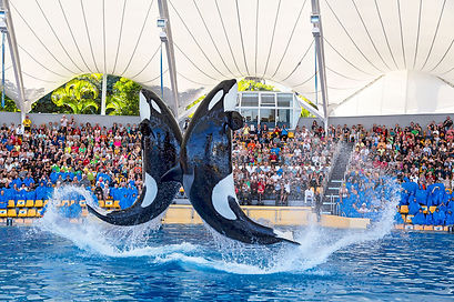 5E294143-B0A4-4812-911E-FC3B24F003E5.jpe