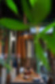 JOB00888.jpg