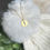 Thumbnail: Dainty birth flower necklace