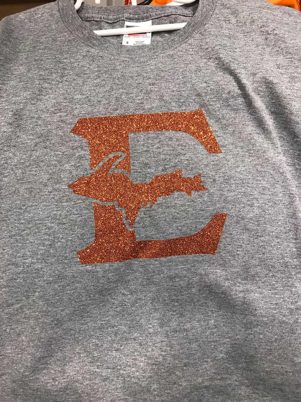 Thumbnail: Sparkle/Camo "E" logo Hoodie