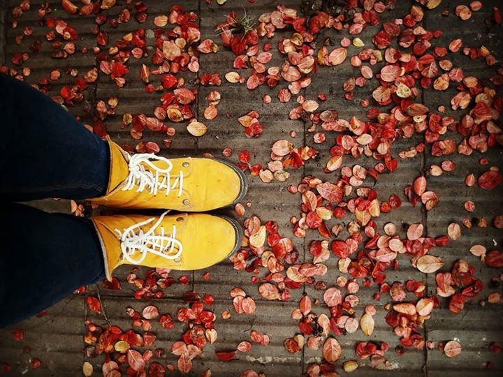 🍂🍁🧡#autumn🍁 #bohemian #handmadeshoes